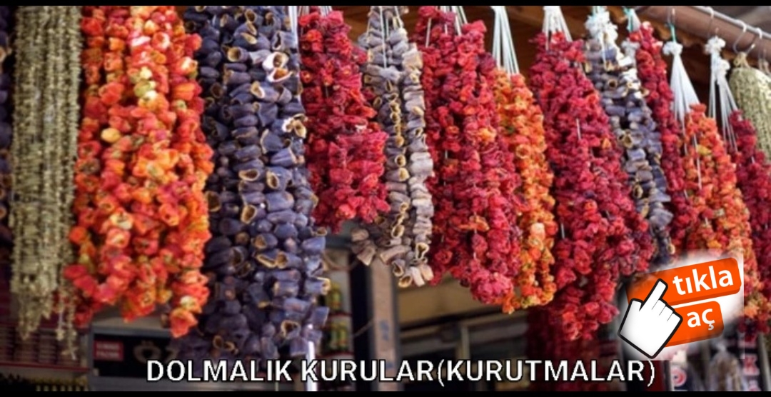 DOLMALIK KURULAR